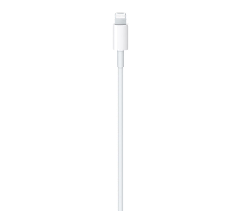 Cable tipo c iPhone original - 2 metros